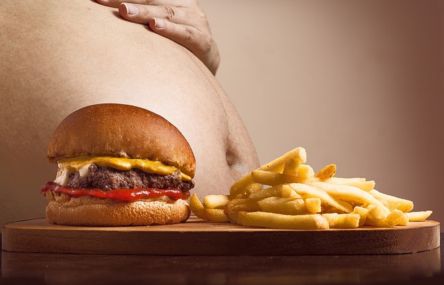 Combattre l’obésité grâce à une alimentation saine et équilibrée afin d’être en top santé