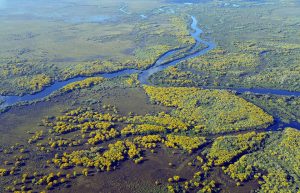 L’exploration de la région de Pantanal lors d'un voyage écologique au Brésil